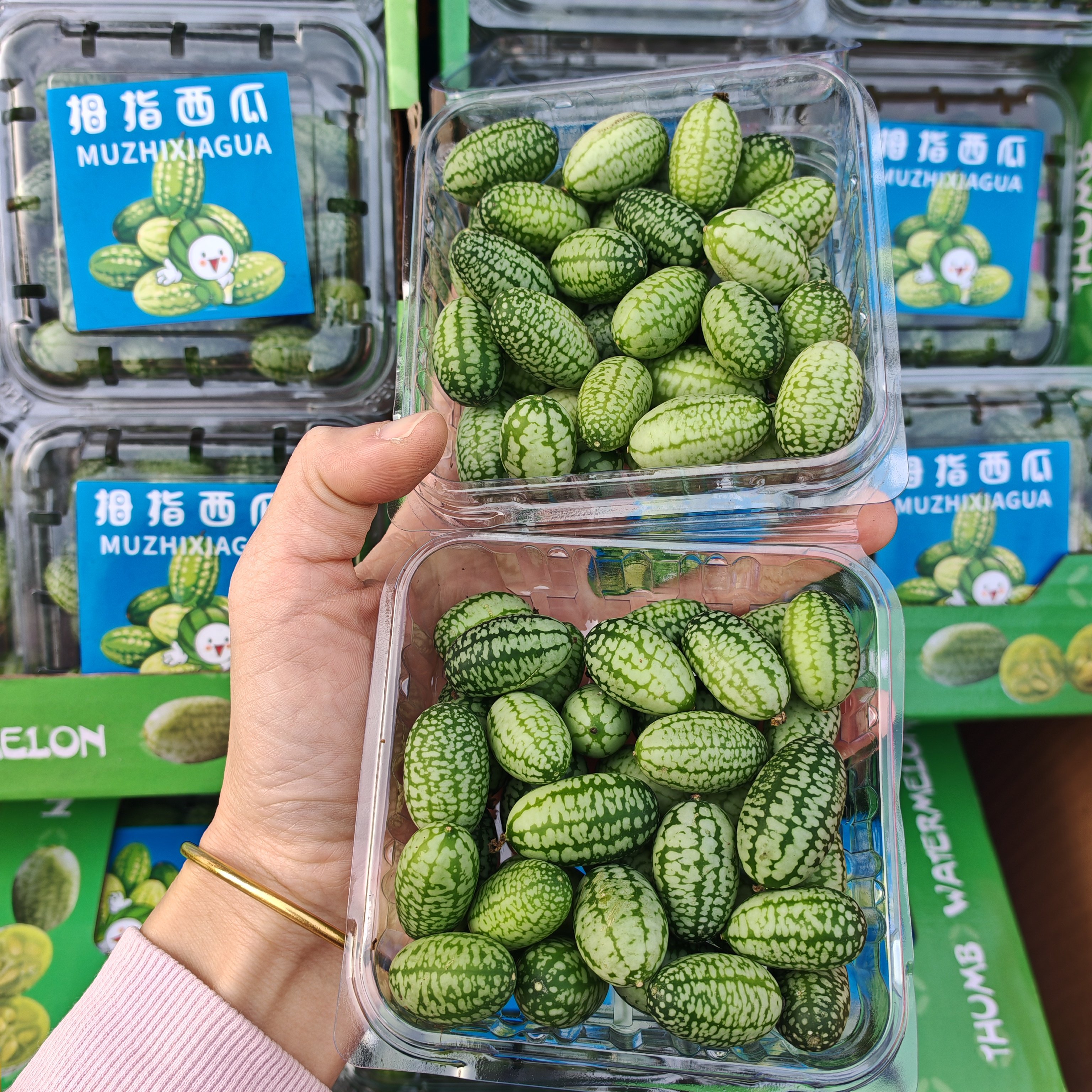 （顺丰包邮）当季现货迷你拇指小西瓜新鲜脆甜多汁小西瓜时令水果,淘宝优惠券,粉丝福利购,淘宝优惠卷