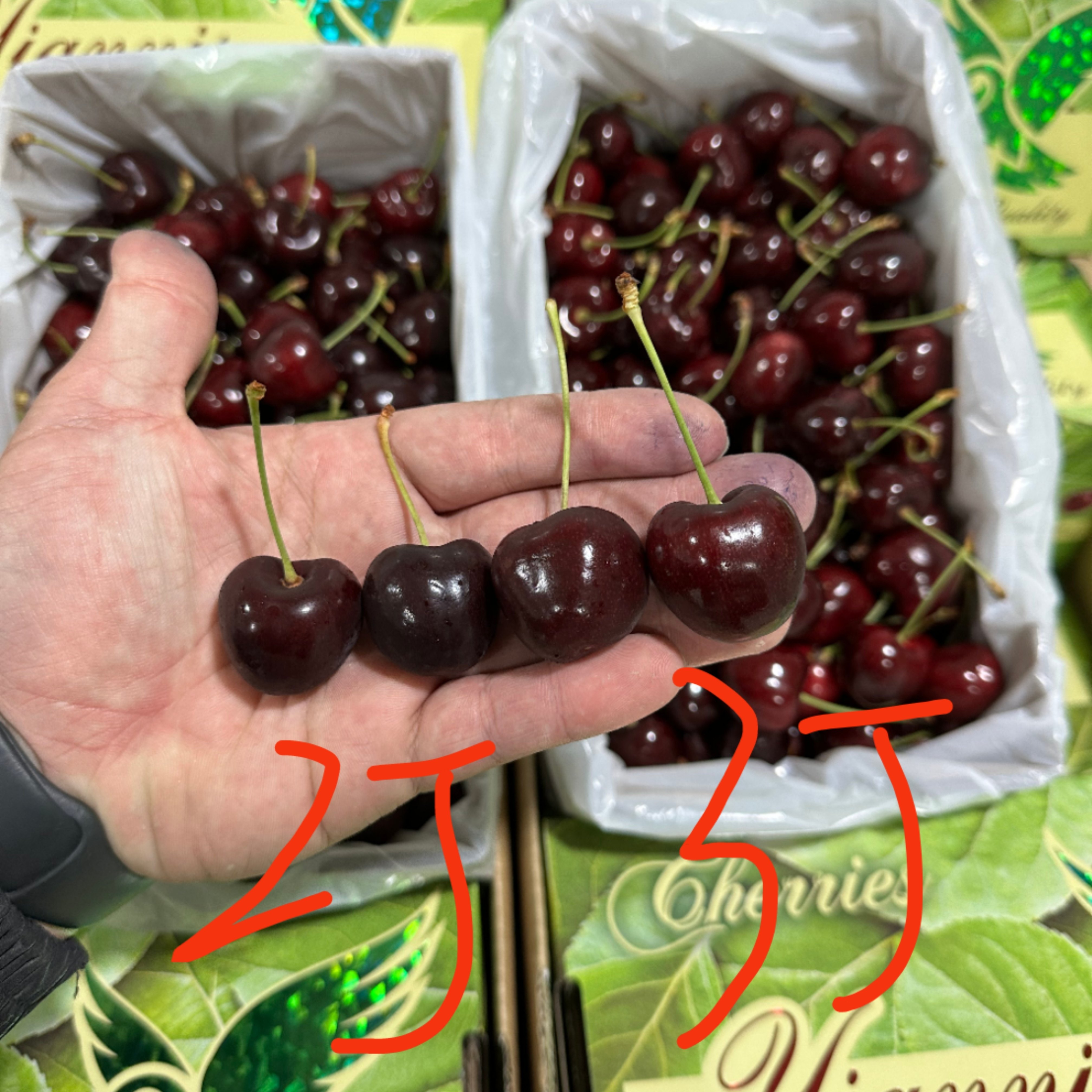 （礼盒送礼）新西兰亚尼士车厘子4斤原箱当季新鲜樱桃进口水果,淘宝优惠券,粉丝福利购,淘宝优惠卷