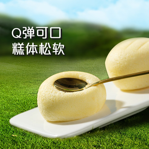 港荣木糖醇蒸蛋糕整箱无添加蔗糖早餐面包老人孕妇小零食专用食品 - 图3