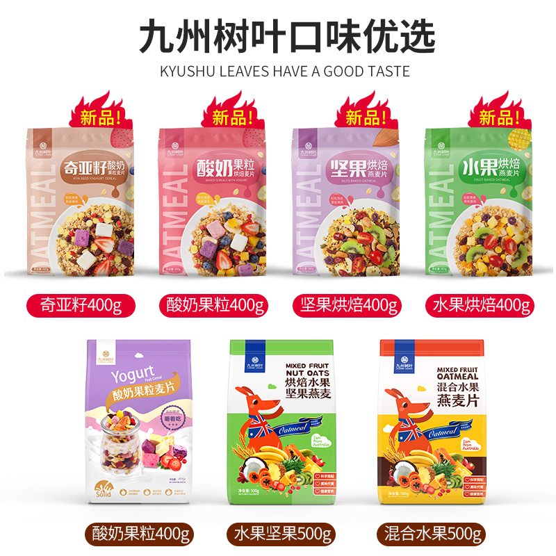 九州树叶 即食水果燕麦片 500g 科学搭配 美味代餐