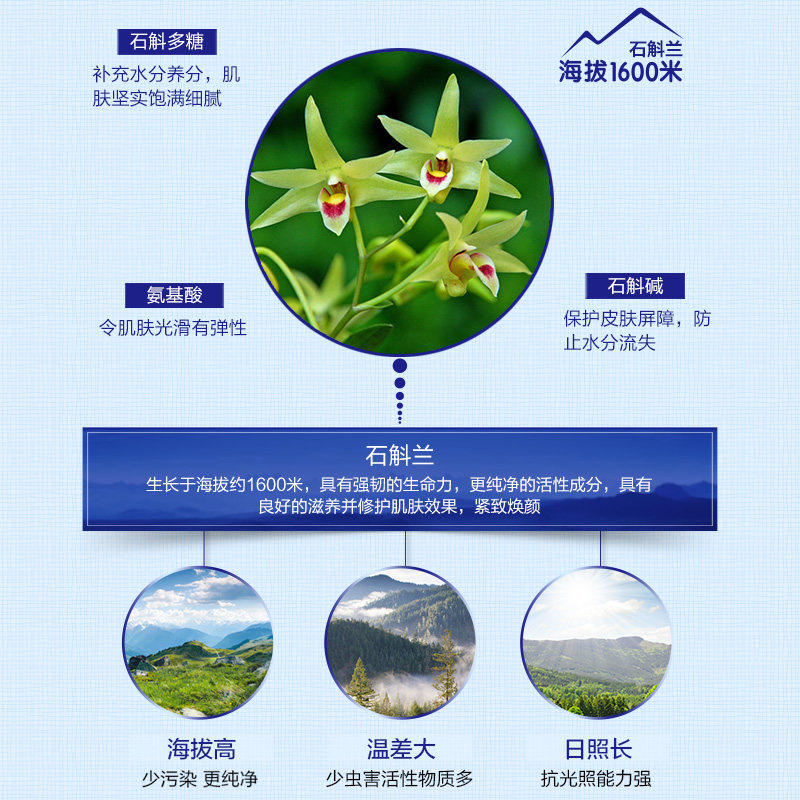  植物医生面部护理套装