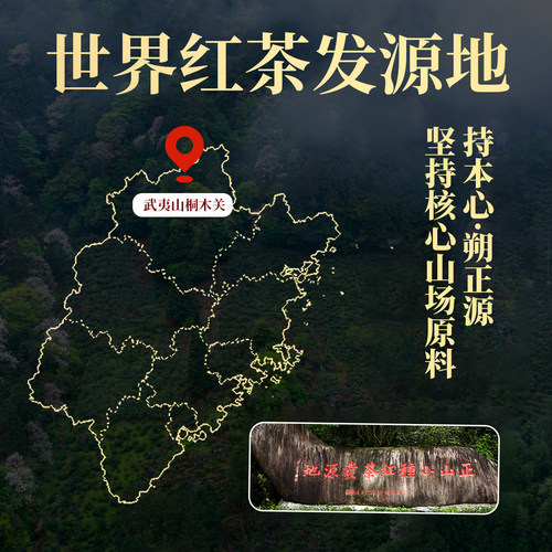 骏德茶业 武夷山红茶茶叶桐木关正山小种 桂圆汤松烟香一级50g罐 - 图3