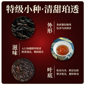 骏德茶业特级礼盒250g武夷山红茶茶叶桐木关正山小种节日送礼佳品