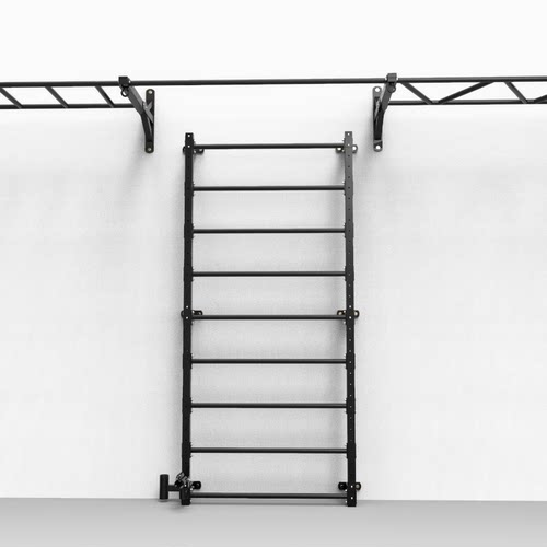 东际 室内壁挂云梯攀爬架 TRXD综合力量训练架 墙体单杠引体向上 - 图1