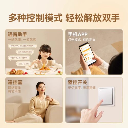 长虹 餐厅灯 新款奶油风2025中古餐桌吊灯创意个性艺术家用专用 - 图2
