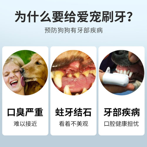Bioline狗狗牙膏狗狗牙刷套装口腔清洁狗刷牙除清新口气免漱口 - 图2