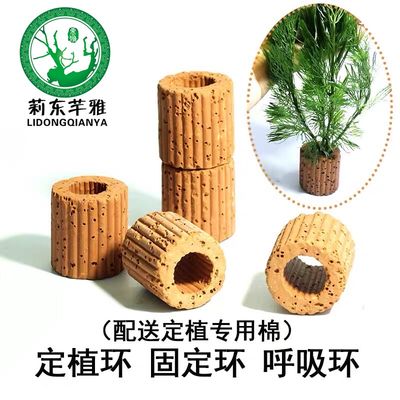 水草定植呼吸环造景装饰过滤细菌培菌滤材可供为淡水鱼虾躲避屋 虎窝淘