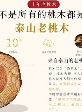 桃木手串女款盘玩静心手串S925银文玩转运珠桃木护身符佛珠手链