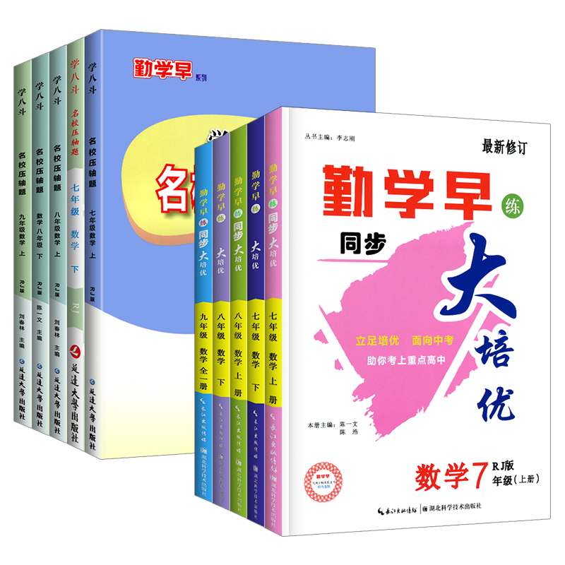 2024新版勤学早大培优七八九年级中考数学专题复习 全国通用初中初一二三789年级上下册数学名校名题必刷题尖子生大培优强化训练 - 图3