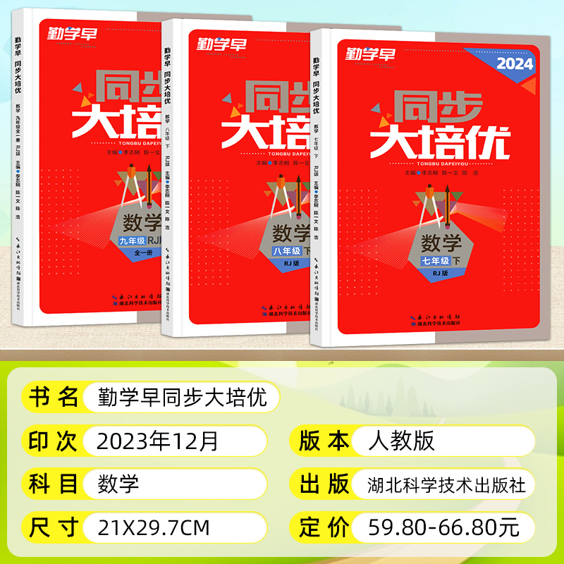 2024版勤学早大培优七八九年级数学物理化学上下册 勤学早练名校压轴题练习题初中789年级基础知识天天背全一册人教版武汉发货正版 - 图2