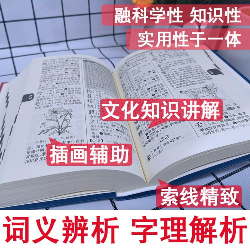 新编学生字典第2版+成语词典彩色版配人教版课本中小学生多功能便携字典第二版新华字典11版一二年级专用学生词典大全工具书正版-图0