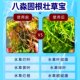 Bamiao Gugenzhuangcaobao special fertilizer for aquaculture