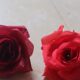 Simulated flowers rose flowers silk cloth engineering flowers