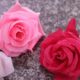Simulated flowers rose flowers silk cloth engineering flowers