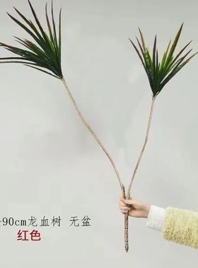 仿真植物盆景铁树龙血树造景绿植