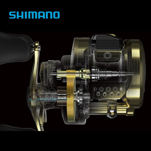 SHIMANO禧玛诺CALCUTTA CONQUEST雷强打黑鼓轮CQ海钓渔轮金牛 - 图2