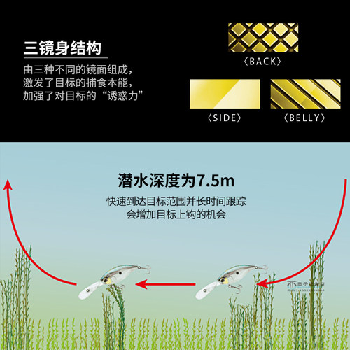 日本DUEL杜尔乐深潜小胖鲈鱼进口饵路亚假饵浮水米诺石斑鱼饵鳜鱼 - 图1