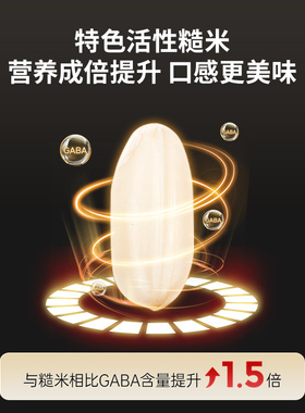 象印电饭煲家用多功能小电饭锅官方正品煮饭锅3L适用4-6人YSH10C