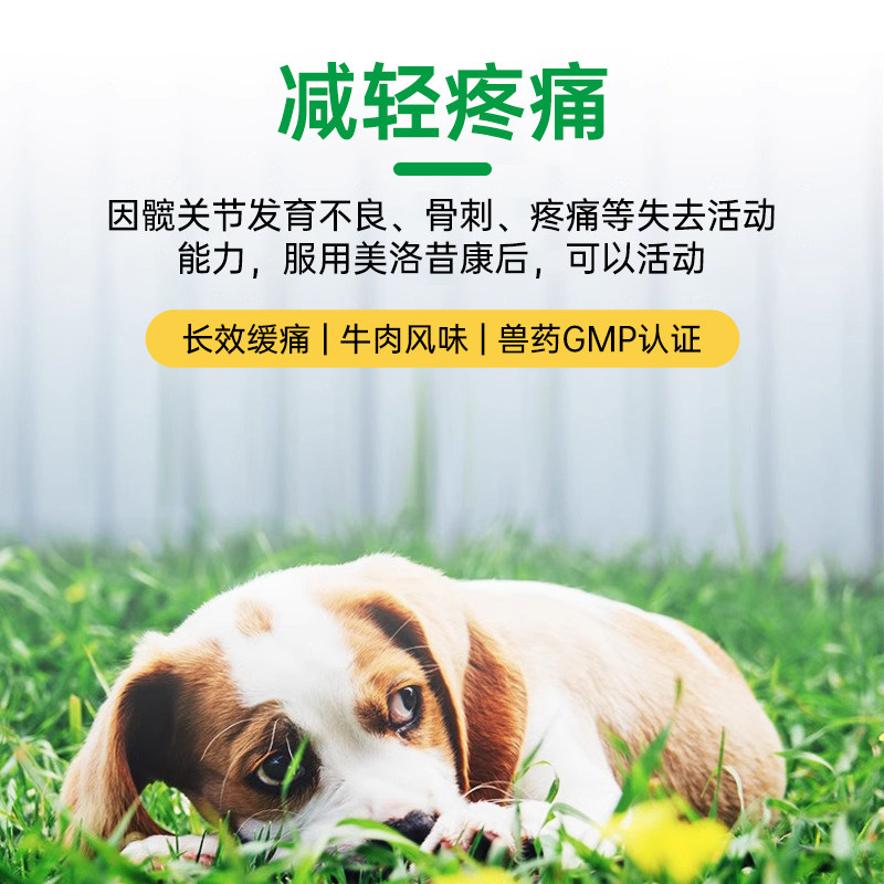 美洛昔康片宠物狗狗关节止痛腿瘸无力风湿绝育术后消炎止疼猫,淘宝优惠券,粉丝福利购,淘宝优惠卷