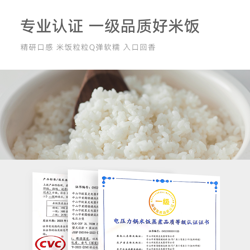 olayks立时畅销日韩设计电压力锅家用小型迷你智能2L高压锅饭锅煲