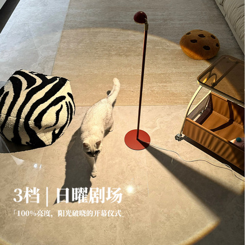 新特丽星座小圆帽落地灯沙发角氛围客厅高级感卧室立式床头角落 - 图3