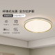 Xintele surround side light luxury ceiling lamp
