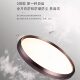 Xinteri retro style minimalist ceiling lamp