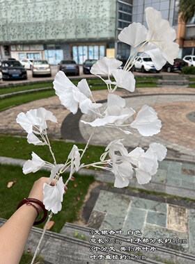 绿植牛油果绿深绿色叶子