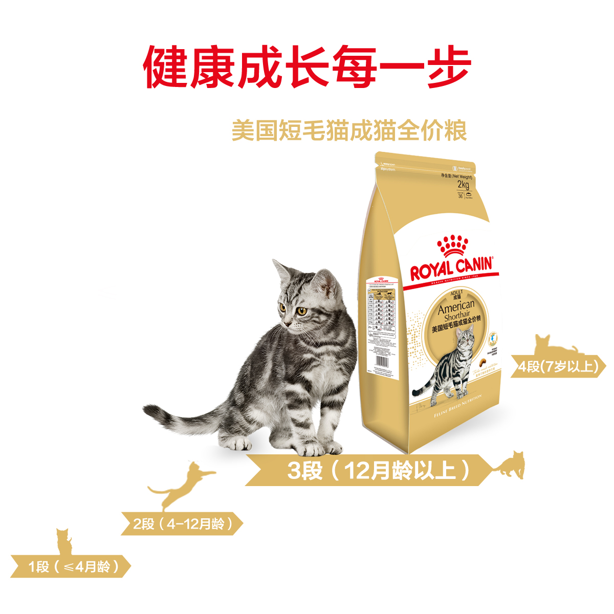 皇家猫粮ASA31美国短毛虎斑成猫粮猫室内成猫粮2KG美短猫专用粮 - 图0