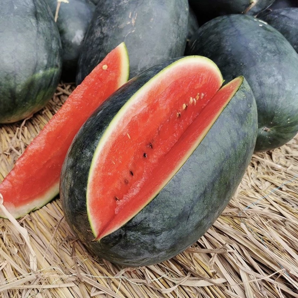 正宗黑美人西瓜新鲜当季水果现摘越南西瓜非麒麟西瓜有籽黑皮西瓜,淘宝优惠券,粉丝福利购,淘宝优惠卷