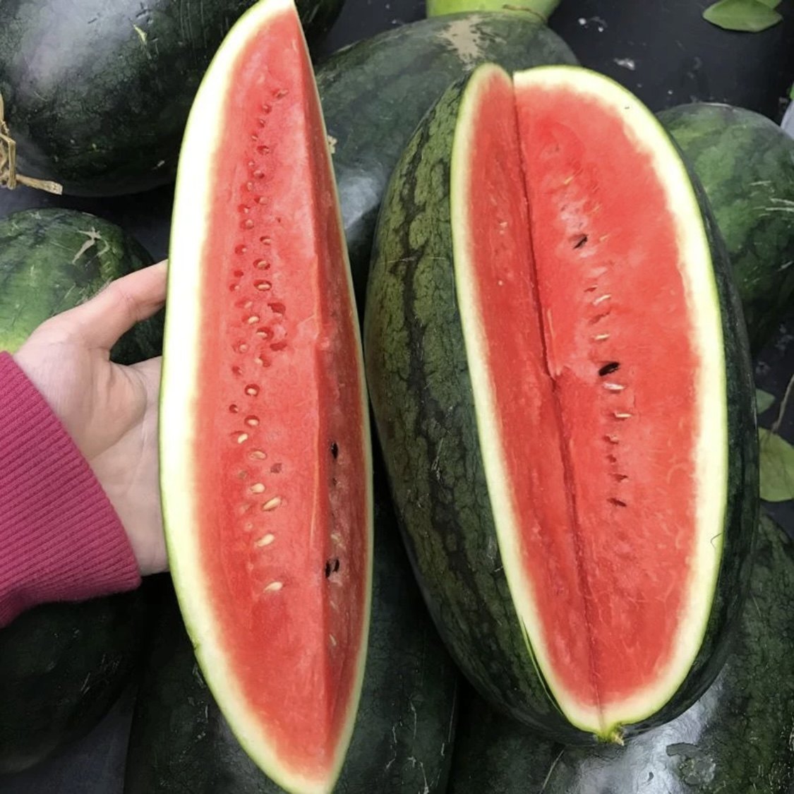 正宗黑美人西瓜新鲜当季水果现摘越南西瓜非麒麟西瓜有籽黑皮西瓜,淘宝优惠券,粉丝福利购,淘宝优惠卷