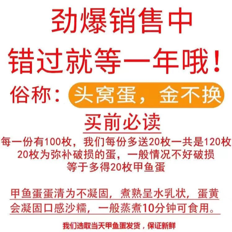 【100枚送20枚】农家新鲜食用甲鱼蛋宝宝辅食营养美味老鳖乌龟蛋-图2