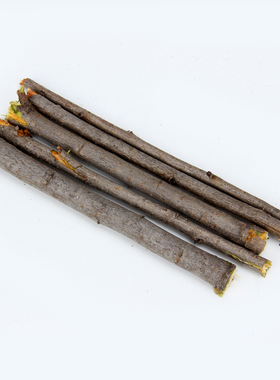 桃木树枝  桃木枝