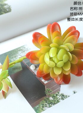 多肉植物带花睡莲仿真花厂家家居装饰婚庆花墙植物墙假花MW17693