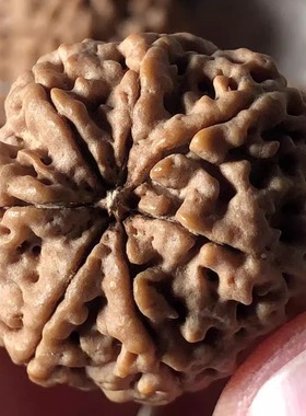 7瓣23mm蜂王金刚菩提手串