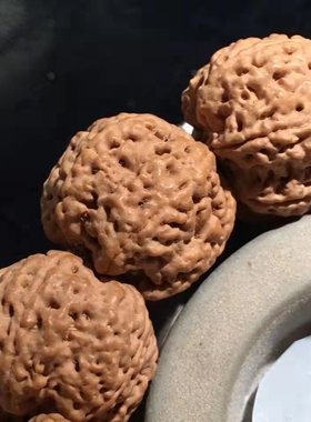 弥刻6瓣25+mm芒星爆肉双龙矮桩平头平尾尼泊尔大金刚菩提子手串男
