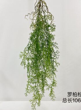 仿真绿植垂吊壁挂波斯草空气草