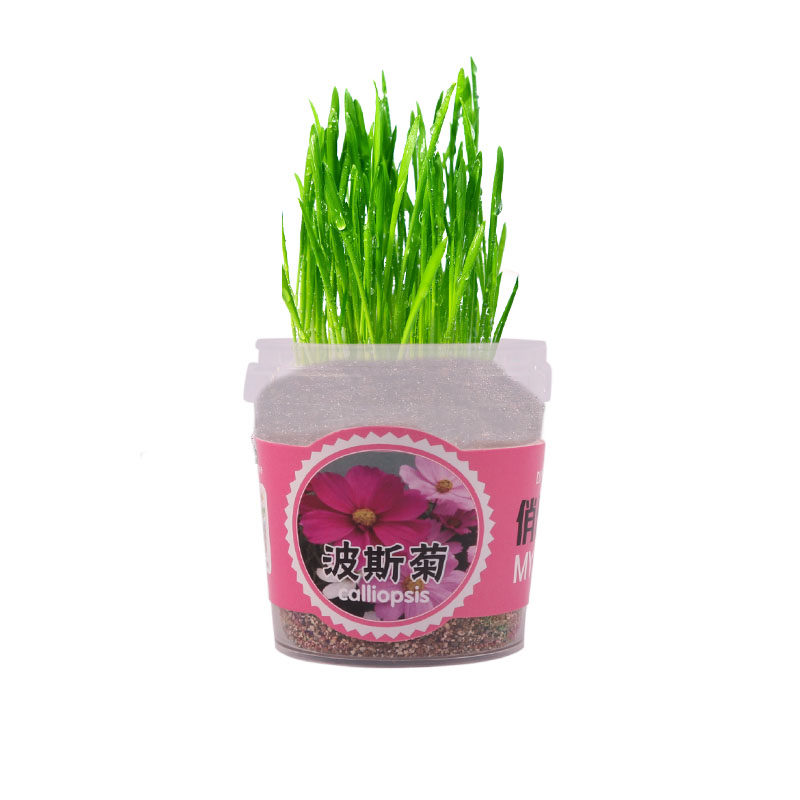 开业促销奖品可爱创意儿童小礼品2元以下新奇特全班生日分享礼物