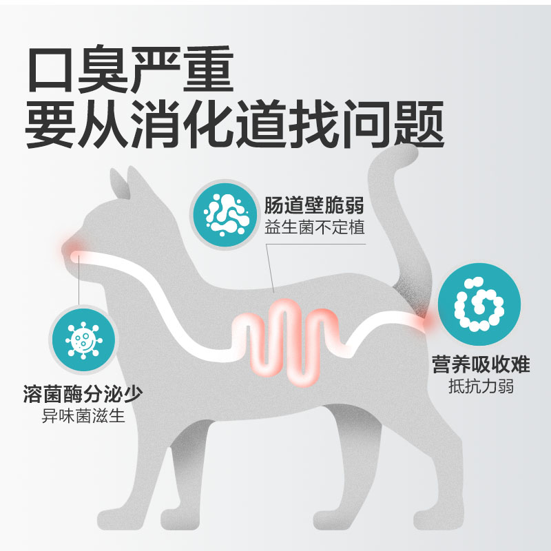 【U先】卫仕仙气魔方体验装猫犬用口气清新冻干1.3g*4袋 - 图1