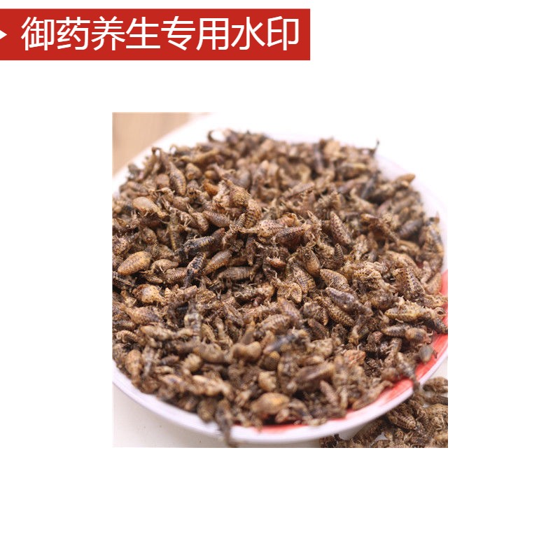 金沙牛中药材野生蚁狮金砂牛蚂岭虫广西地牯牛沙牛虫10g克同仁堂 - 图0