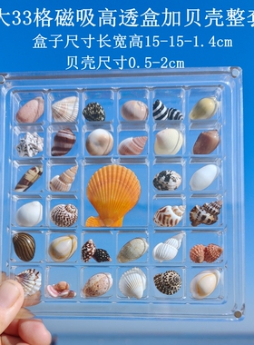 天然迷你小海螺贝壳海星收纳盒装