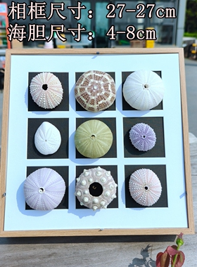 小海螺贝壳手工装裱立体中空相框