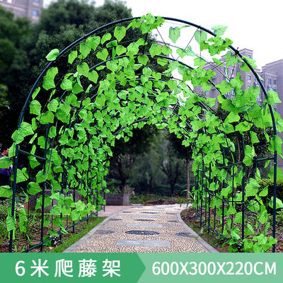 植物爬藤架暖房钢管花架葡萄架大棚骨架百香果支架庭院园艺攀爬架 虎窝淘