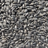 Хомяки натуральные черные дыни семена сырой дыни семян масла 100 г зерно зерно золото и медвежьи закуски