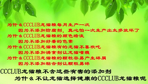 包邮 CCCLUB龙猫俱乐部龙猫主粮1KG 龙猫粮 - 图0