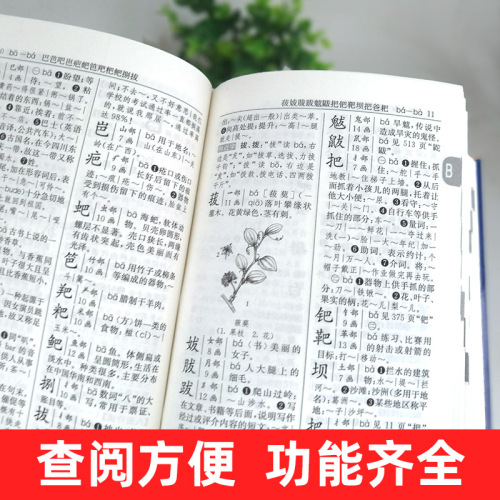 【正版现货】新编学生字典第2版人民教育出版社新华字典初中小学生工具书教材课本辅导小学生汉字知识讲解新词新语第二版人教版