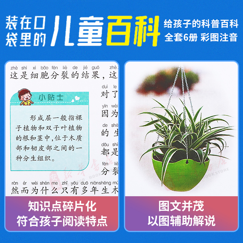 全套6册装在口袋里的儿童百科：动植物儿童百科全书大百科3-6-9岁儿童绘本一二三年级小学生课外书阅读少儿百问百答科普书籍注音版