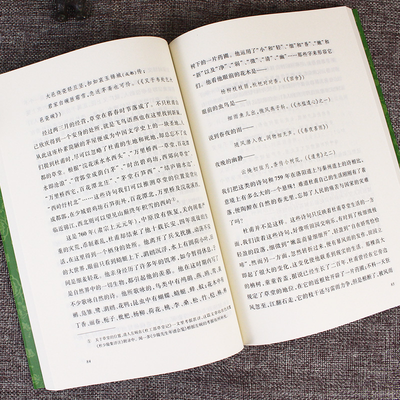 杜甫传 冯至著诗圣杜甫传记 人民文学出版社 高中一年级课外阅读经典名作 中小学生课外阅读经典名人传记人物传记自传传记类书籍 - 图0