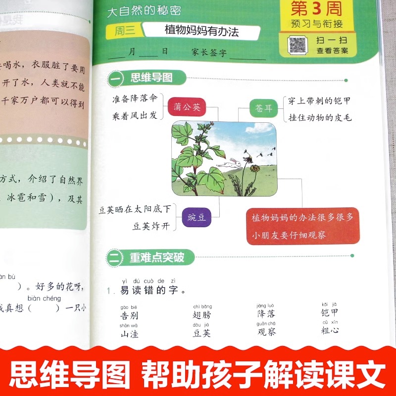 小学生暑假衔接训练彩绘版1升2升3升4升5升6语数英6周学习计划教师陈振林杨凯明李昕恬研发编写暑假专项训练升学练习