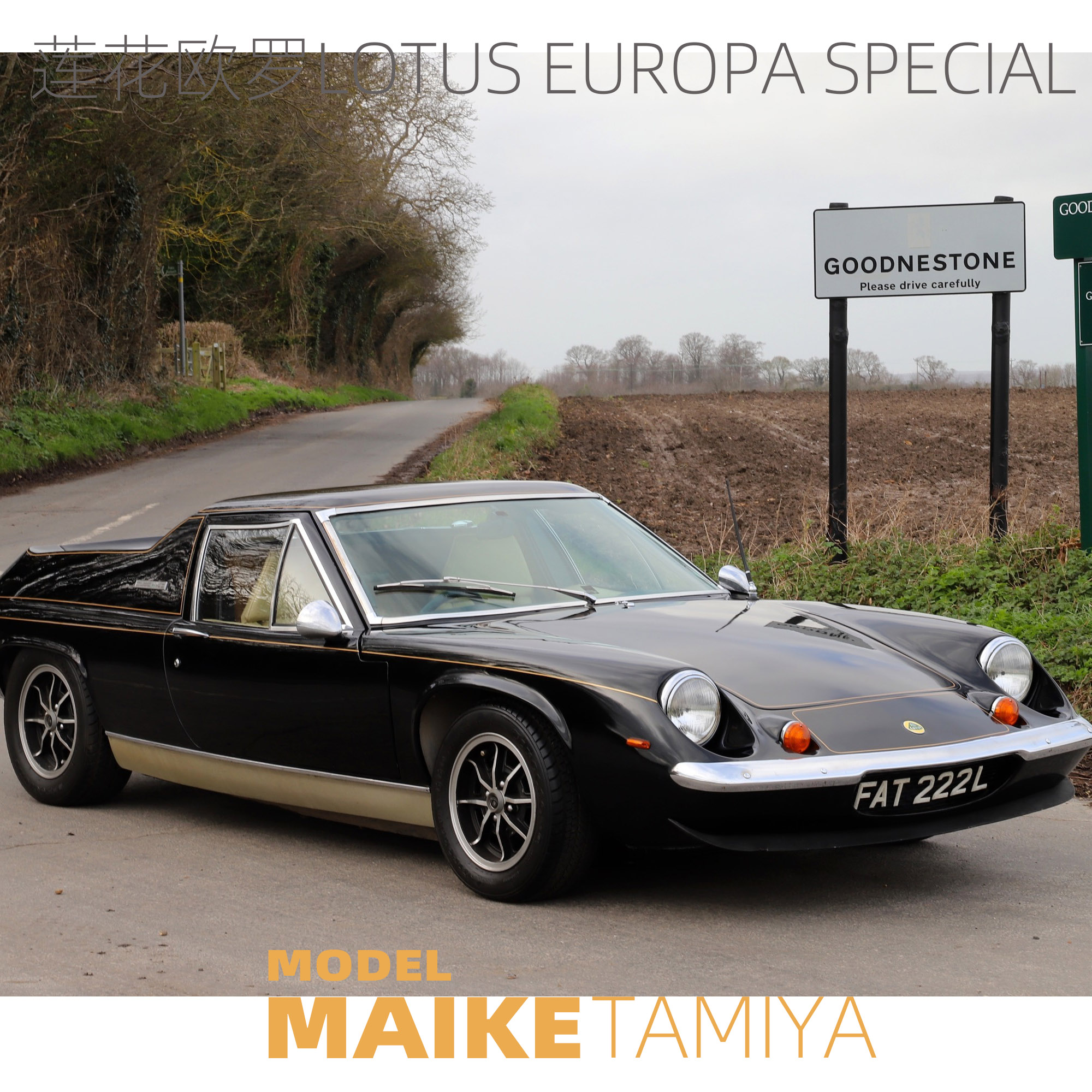 MAIKE 田宫1/24 Lotus Europa Special 莲花欧罗拼装模型24358 - 图2